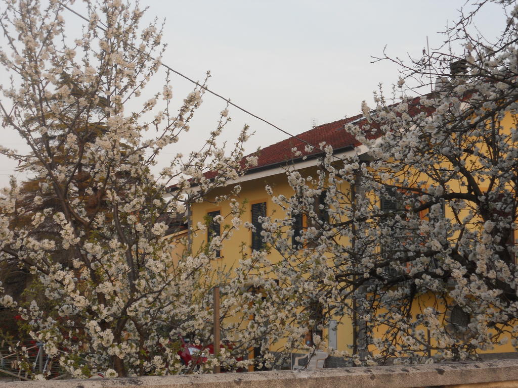 B&B Pervinca Rocca Grimalda Luaran gambar