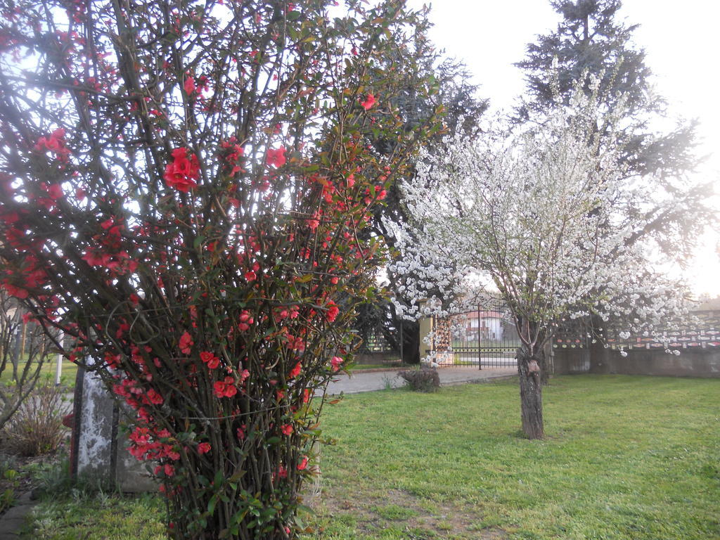 B&B Pervinca Rocca Grimalda Luaran gambar