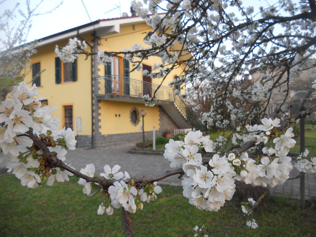 B&B Pervinca Rocca Grimalda Luaran gambar